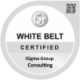 iSigma Group Consulting - Six Sigma White Belt Certification - 2025-05-09 (1)